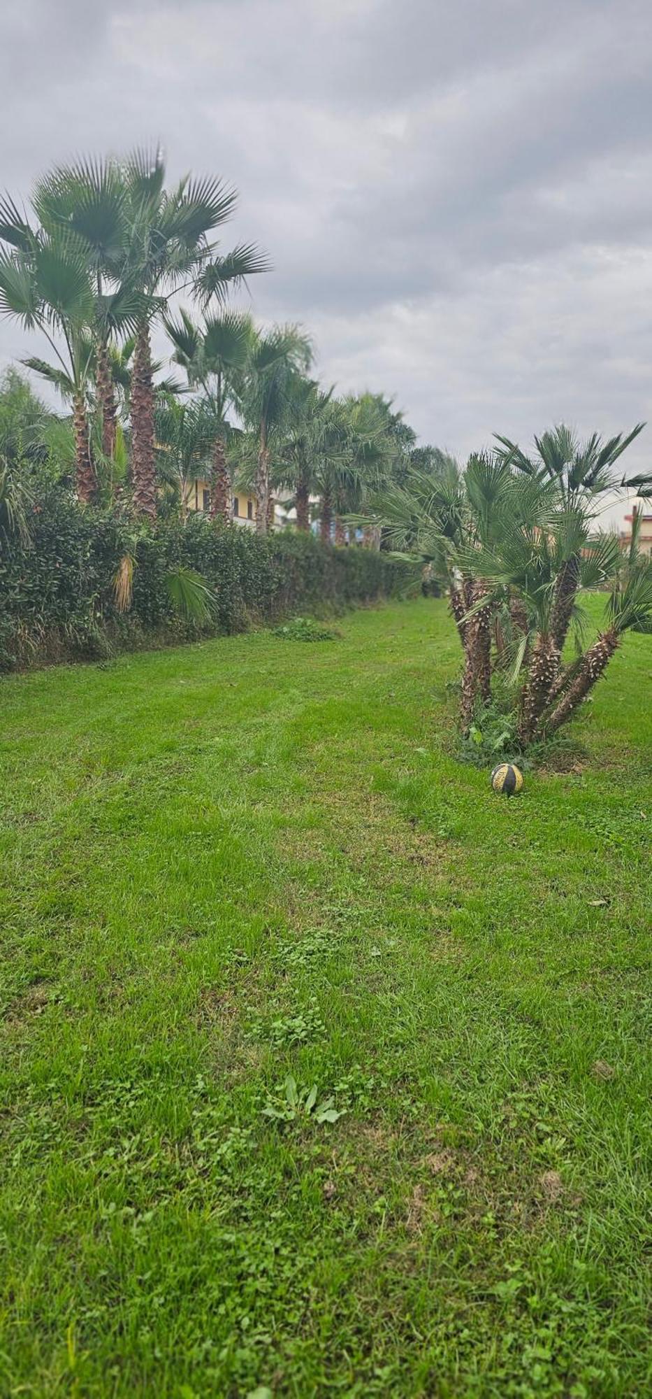 Capodrise B&B Gianni المظهر الخارجي الصورة